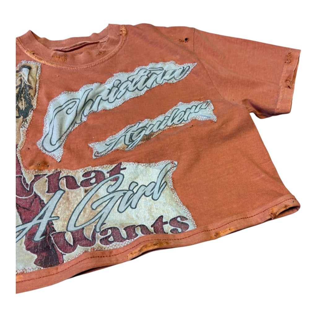 Christina Distressed Tee
